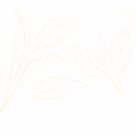 LaraibNoor25